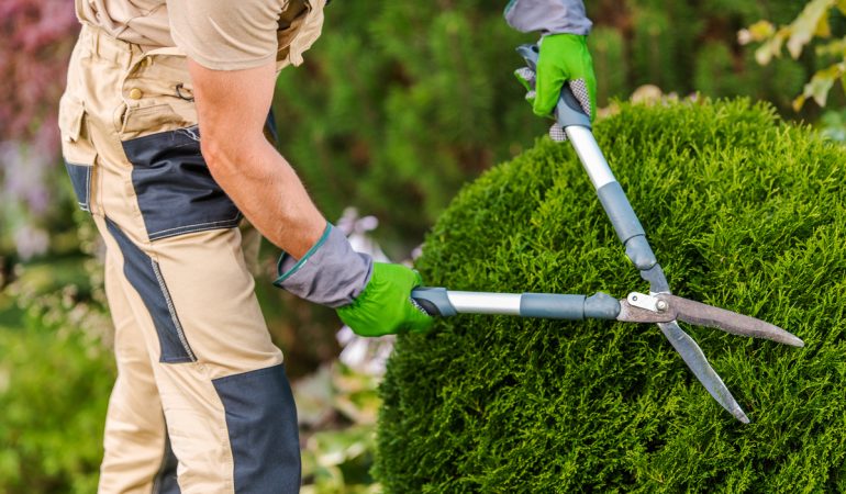 Astuces de paysagistes pour aménager votre espace vert