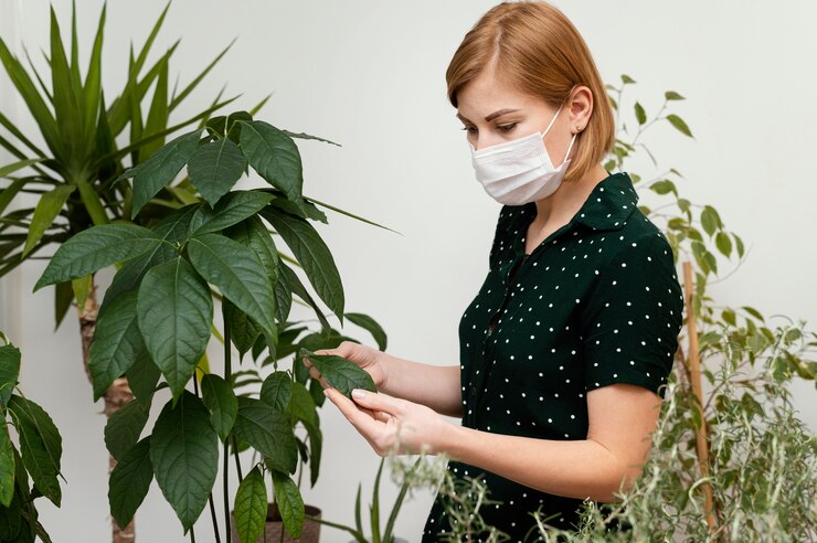 Prévenir et traiter les maladies des plantes dans votre espace vert